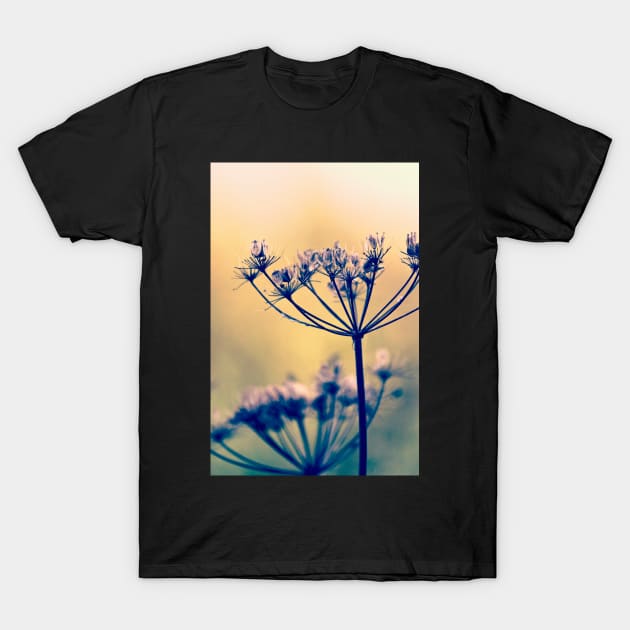 Wild Carrot Seeds T-Shirt by InspiraImage